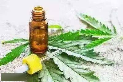 合成大麻素類 在煙草偽裝的背后遠不止你想象的那么簡單