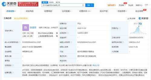 信息系統集成服務 連接、優化與賦能
